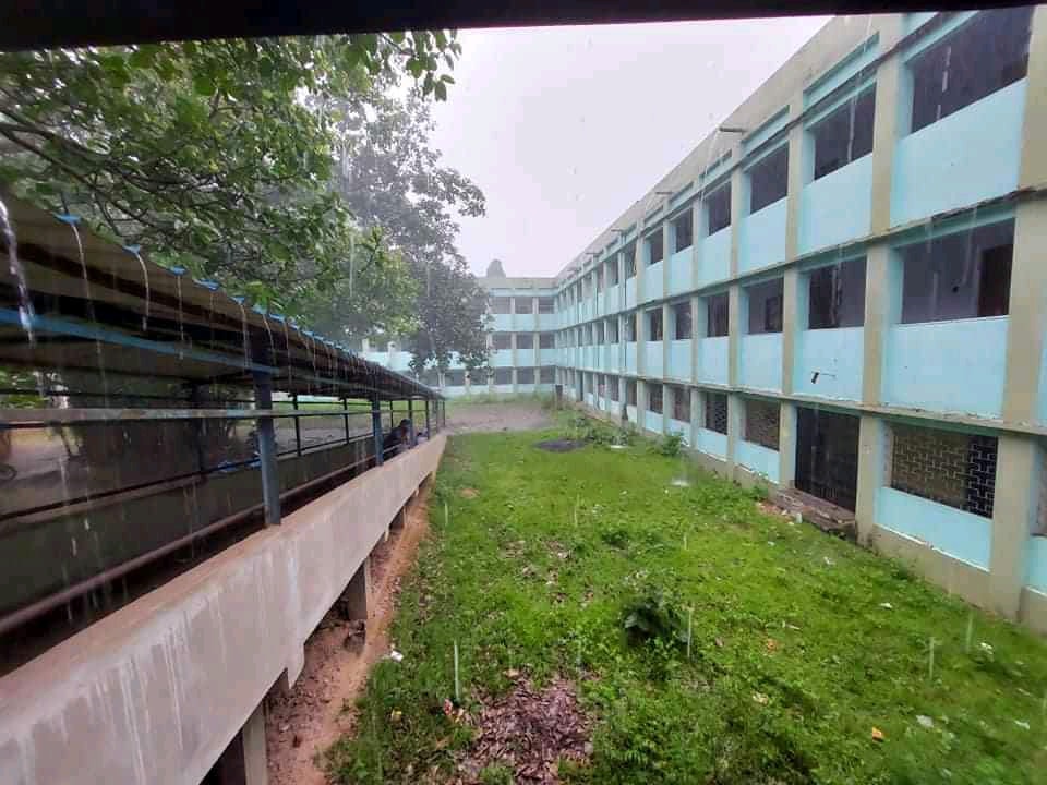 Digital Resources Section